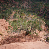 longwaydown